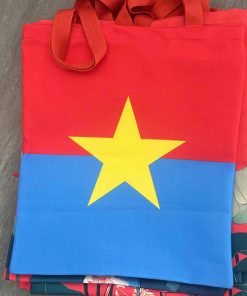 tui-xach-vai-bo-thoi-thuong