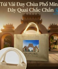 tui-vai-day-chua-pho-minh